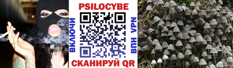 Псилоцибиновые грибы прущие грибы  kraken ССЫЛКА  Егорьевск 